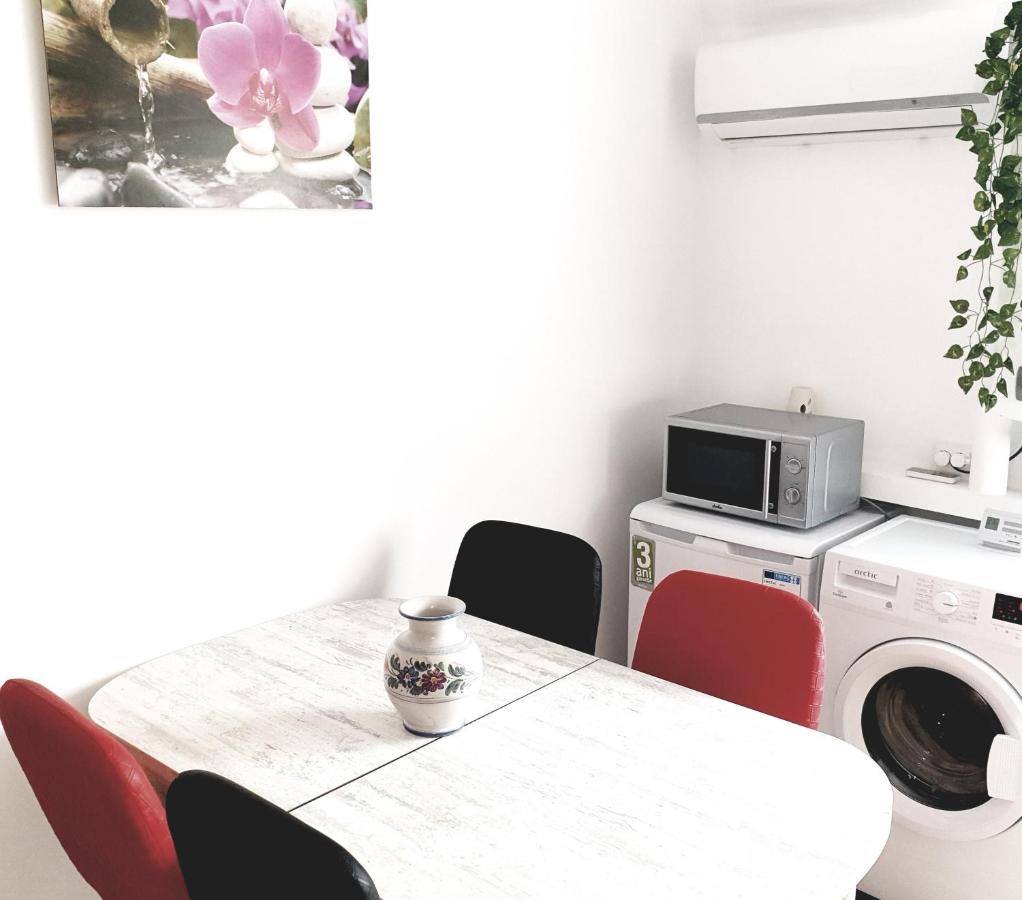 Apartament Carolina Parc アルバ・ユリア エクステリア 写真