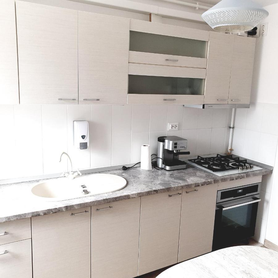 Apartament Carolina Parc アルバ・ユリア エクステリア 写真