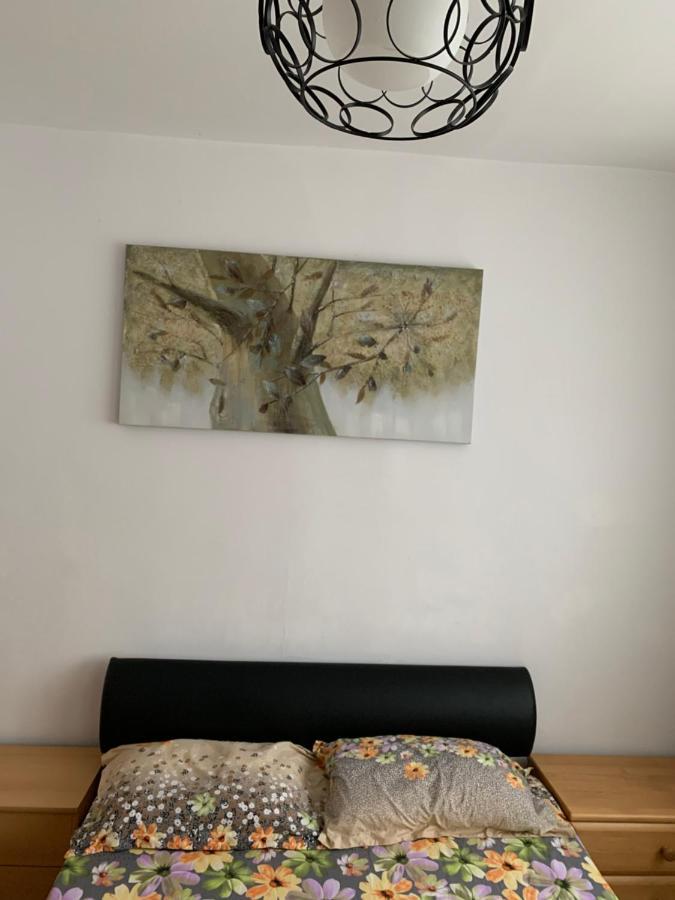 Apartament Carolina Parc アルバ・ユリア エクステリア 写真