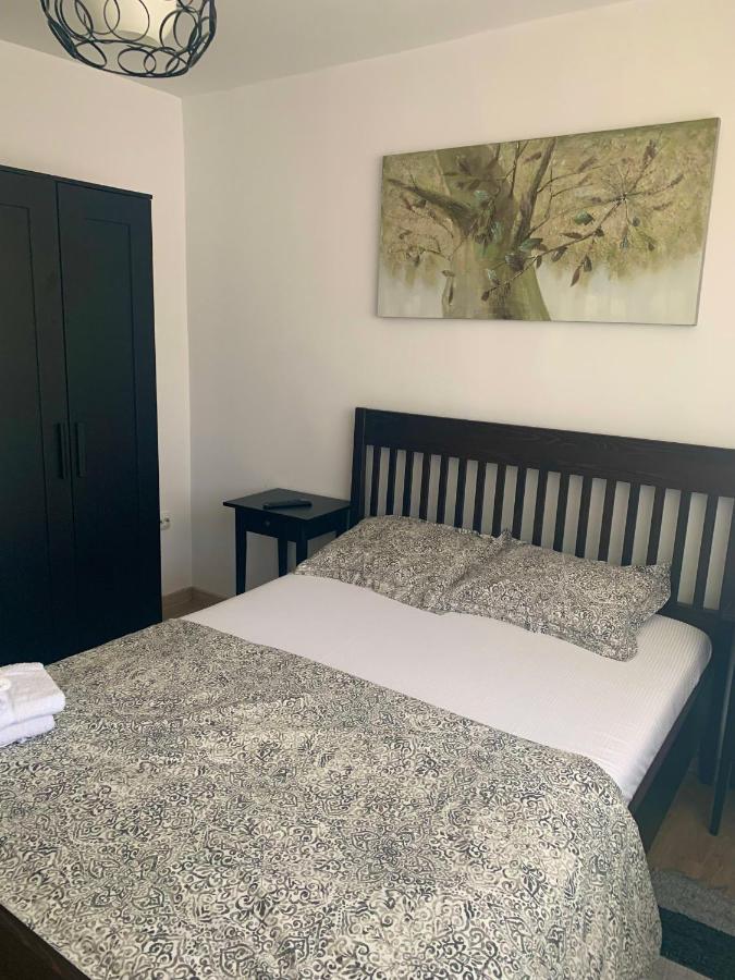 Apartament Carolina Parc アルバ・ユリア エクステリア 写真